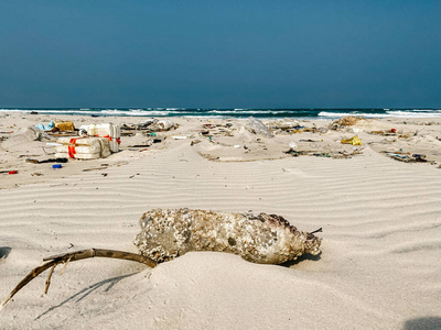 Plastic bottles and other rubbish thrown on the sandy seashore, 