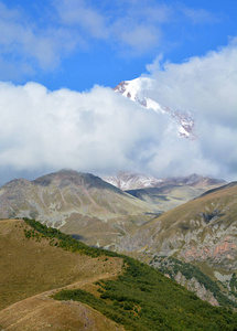 旅游业 公园 草地 科罗拉多 欧洲 自然 美丽的 旅行 小山