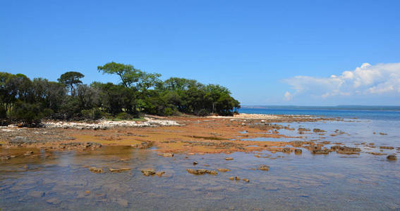 旅游业 太阳 海岸线 美丽的 海滩 航班 非洲 旅行 天空