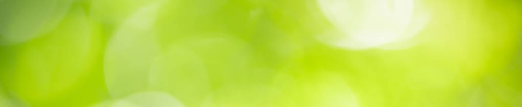 Abstract blurred out of focus and blurred green leaf background 