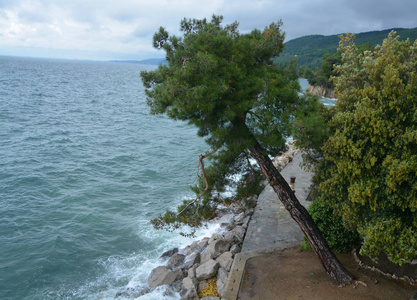 美女 岩石 天空 自然 海岸线 旅行 海岸 旅游业 森林