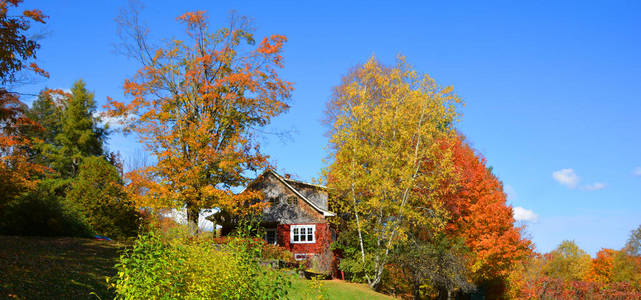 古老的 枫树 房子 天空 颜色 落下 森林 秋天 木材 自然