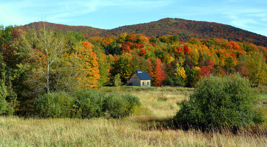 草地 天空 小山 季节 秋天 十月 公园 颜色 树叶 自然