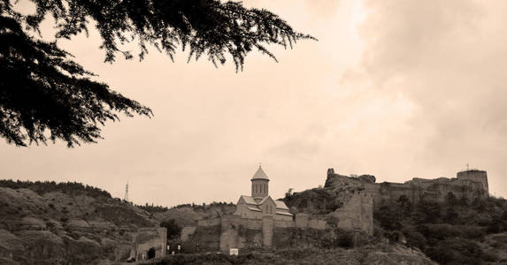 历史 古老的 城市 历史的 意大利 堡垒 欧洲 小山 城堡
