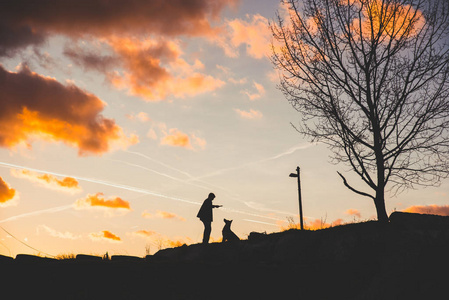 狗人交照片图片