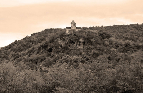 城堡 法国 小山 文化 旅行 欧洲 古老的 岩石 天空 旅游业