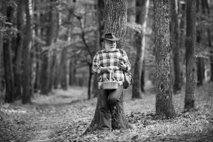老人走路退休老人爷爷高级森林徒步旅行夏天和爱好夏天森林里的老胡子