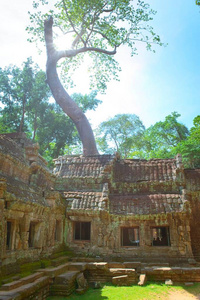 地标 旅行 瓦特 旅游业 高棉 柬埔寨 历史 吴哥 建筑学