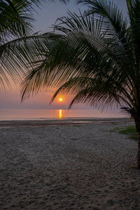 泰国日落海滩棕榈树丰盛区