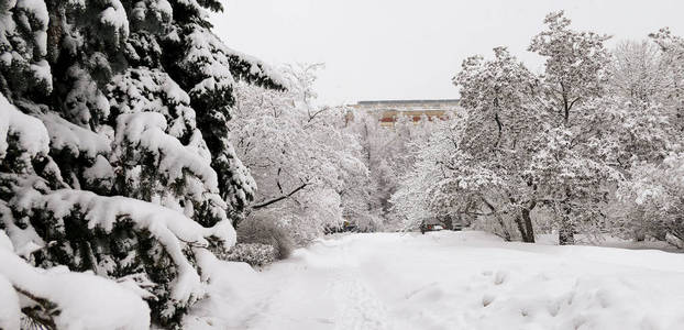 俄罗斯著名大学校园降雪图片