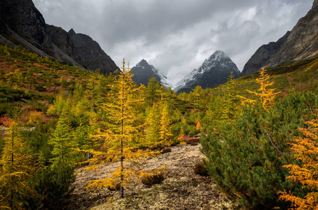 巴姆 旅游业 美丽的 岩石 秋天 俄罗斯 山谷 风景 徒步旅行