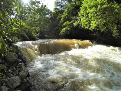 流经热带雨林的河流