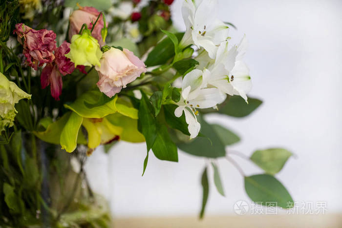 partially blurred background of wilted flowers in closeup on a 