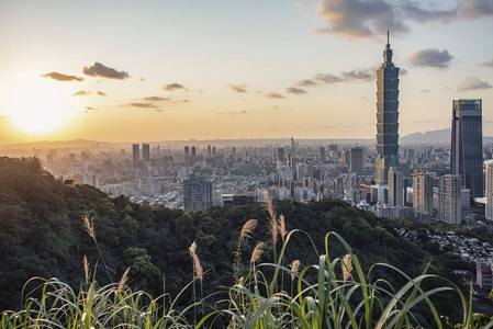 建筑学 亚洲 风景 台湾 地标 瓷器 商业 旅游业 办公室
