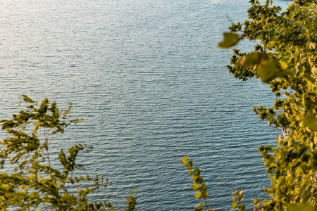 简单文本概念简单自然风景概念晨间平静的水库水面和树叶框架前景与