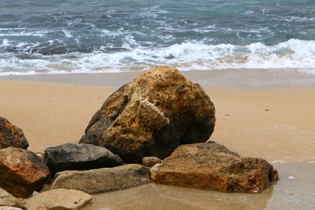 石头 以色列 冬天 贝壳 岩石 气候 天空 二月 海滩 海岸