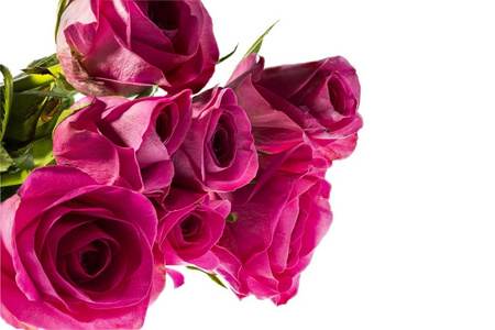 开花 玫瑰 颜色 明信片 浪漫的 感激 植物 卡片 花束