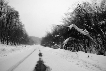 寒冷的 旅行 十二月 湖泊 雾凇 降雪 天空 森林 自然