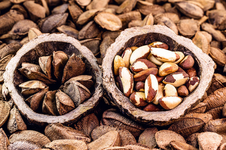 brazil nuts are cal照片