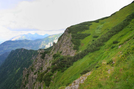 美女 环境 高的 颜色 天空 土地 阿尔卑斯山 季节 种植园