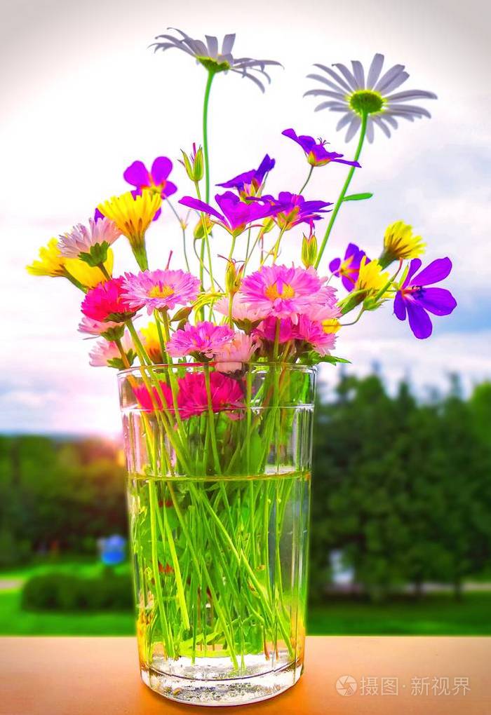 各种各样的夏季野花镶嵌在玻璃上