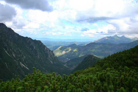 季节 小山 美丽的 环境 徒步旅行 空气 颜色 山谷 夏天