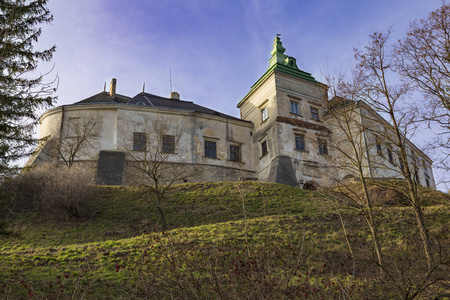 青山上的堡垒。奥列斯科城堡。乌克兰西部。