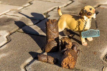捡拾狗屎,净化城市环境的理念照片