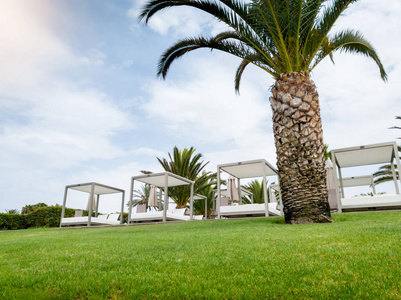 海滩棕榈树下的木制日光浴床和遮篷的豪华度假村的美丽形象