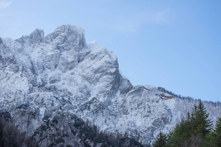 奥地利施蒂利亚地区格索斯国家公园的岩石雪和树木的山面细节
