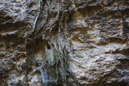 材料 花岗岩 特写镜头 风景 树干 地质学 古老的 矿物