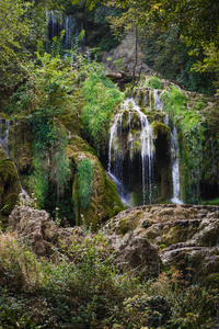 岩石 地质 保加利亚 悬崖 森林 巴尔干半岛 旅行 旅行者