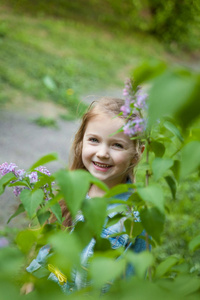 可爱的微笑的小女孩在一丛盛开的丁香花丛旁