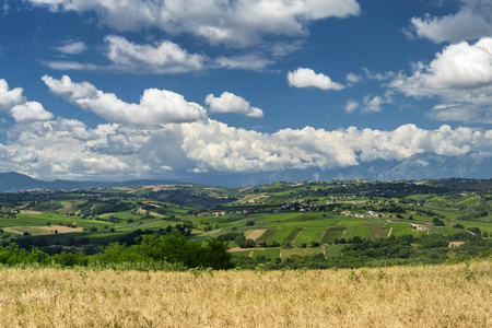 土地 意大利 欧洲 全景图 摄影 农业 风景 草地 领域