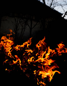 权力 篝火 发光 木材 燃烧 要素 爆炸 危险 纹理 易燃