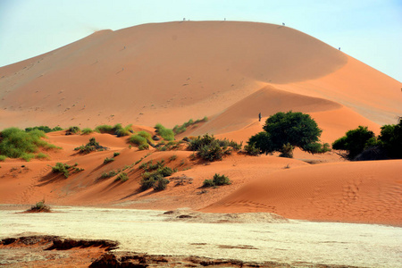 纳米比亚 冒险 干旱 美丽的 自然 非洲 撒哈拉 遗产 风景
