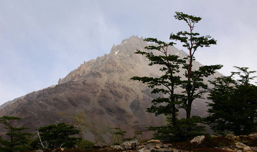 植物 遗产 夏威夷 天空 马丘 森林 风景 徒步旅行 岩石