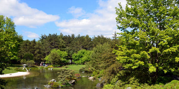 天空 夏天 冥想 旅游业 公园 美丽的 假期 木材 蓝天