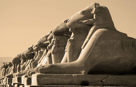 考古学 旅行者 埃及人 地标 文化 历史 雕塑 雕像 纪念碑
