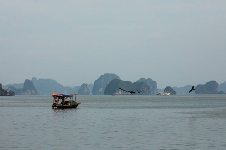 假期 旅行 亚洲 渔夫 风景 海洋 巡航 越南 自然 海岸