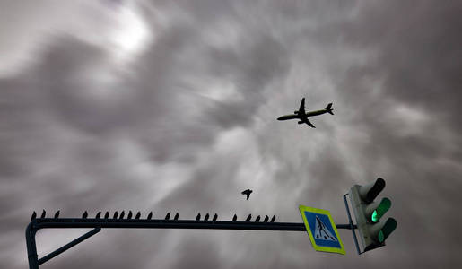 单色 假期 涡轮 着陆 航空 鸟瞰图 拼贴 数字化 发动机