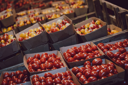 番茄红素 健康 品种 市场 自然 西红柿 番茄 销售 平衡的