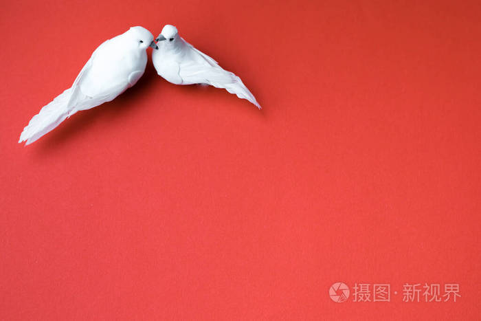 两只白鸽爱情的象征在红底亲吻