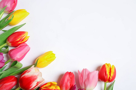 浪漫的 颜色 春天 植物 美丽的 生日 开花 感谢 复制