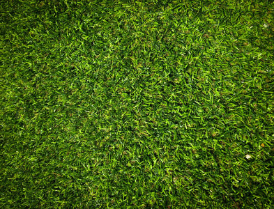 风景 足球 草地 草皮 院子 花园 公园 颜色 草坪 绿色植物