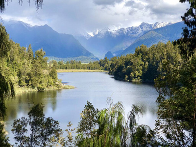 马西森 假期 自然 旅游业 新西兰 反射 场景 风景 森林