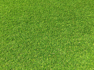 墙纸 高尔夫球运动 春天 绿色植物 植物 草地 纹理 足球
