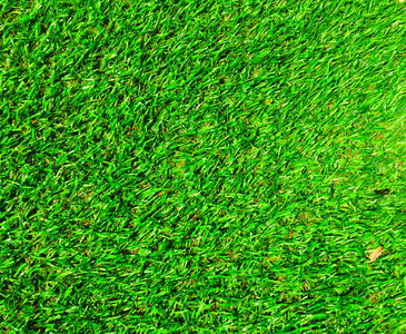 草坪 墙纸 游戏 土地 环境 夏天 足球 地板 棒球 生长
