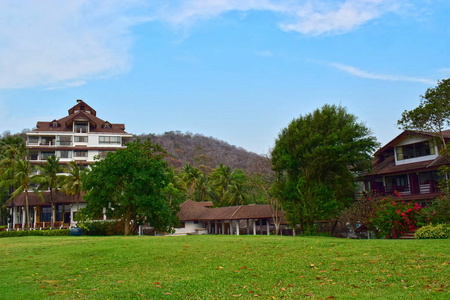 风景 小山 土地 草坪 开花 天空 乡村 领域 春天 季节