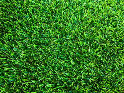 植物 郁郁葱葱 季节 草皮 地面 高尔夫球运动 游戏 墙纸